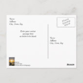 Carte Postale Sunset Sailboat naufrage Gulf Breeze Merci (Dos)