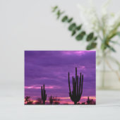 Carte Postale Sunset, Scottsdale, Arizona (Debout devant)