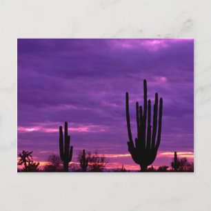 Carte Postale Sunset, Scottsdale, Arizona