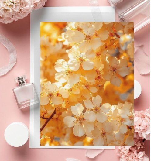 Carte Postale Sunset Serenity" Landscape Art Postcard | Premium 