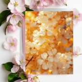 Carte Postale Sunset Serenity" Landscape Art Postcard | Premium 