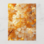 Carte Postale Sunset Serenity" Landscape Art Postcard | Premium  (Devant)