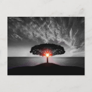 Carte Postale Sunset Sunrise