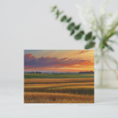 Carte Postale Sunset Sunrise Grain Field Aquarelle colorée Art (Debout devant)