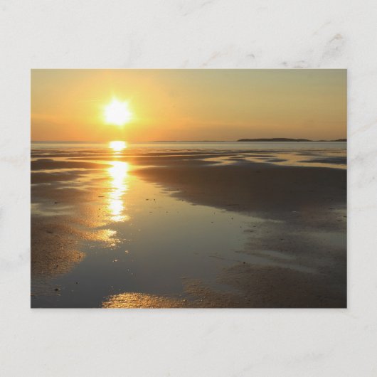 Carte Postale Sunset Wellfleet Bay Wildlife Sanctuary Cape Cod (Devant)