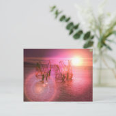 Carte postale Sunset Windsurfing (Debout devant)