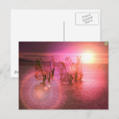 Carte postale Sunset Windsurfing (Devant / Derrière)