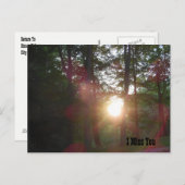 Carte Postale Sunset Woods Je Vous Manque (Devant / Derrière)