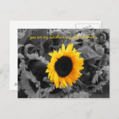 Carte postale Sunshine (Devant / Derrière)