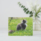 Carte postale Sunshine Cat (Debout devant)