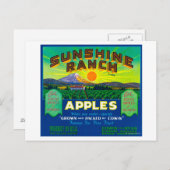 Carte Postale Sunshine Ranch Apple Étiquette - Wapato, WA (Devant / Derrière)
