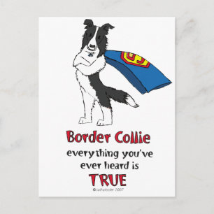 Carte Postale Super Bordure Collie Noir