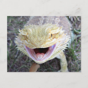 Carte Postale Super Happy Bearé Dragon