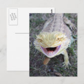 Carte Postale Super Happy Bearé Dragon (Devant / Derrière)