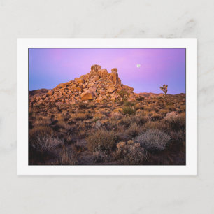 Carte Postale " Super Moon Morning "