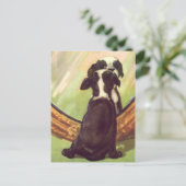 Carte Postale Super Sweet Vintage Baby Boston Terrier (Debout devant)