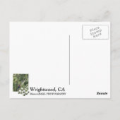 Carte Postale Super Wrightwood Zip Line Postcard! (Dos)