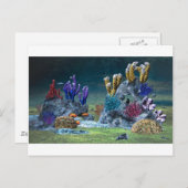 Carte Postale Superbe barrière de corail (Devant / Derrière)