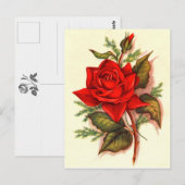 Carte Postale Superbe Bouquet de roses rouges victoriennes (Devant / Derrière)