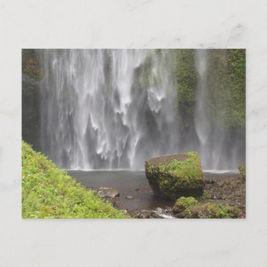 Carte Postale Superbe cascade de l'Oregon (Devant)