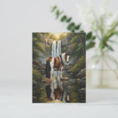 Carte Postale Superbe cheval Pinto à la cascade (Debout devant)