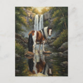 Carte Postale Superbe cheval Pinto à la cascade (Devant)