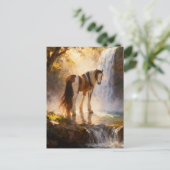 Carte Postale Superbe cheval Pinto Gypsy Vanner à la cascade (Debout devant)