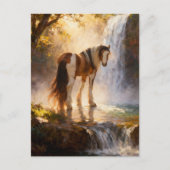 Carte Postale Superbe cheval Pinto Gypsy Vanner à la cascade (Devant)