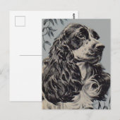 Carte Postale superbe cocker spaniel (Devant / Derrière)