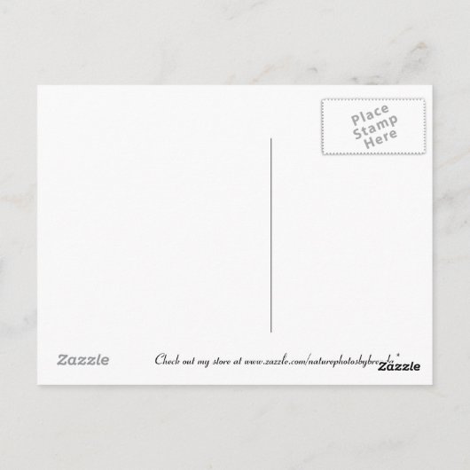 Carte Postale Superbe couverture (Dos)