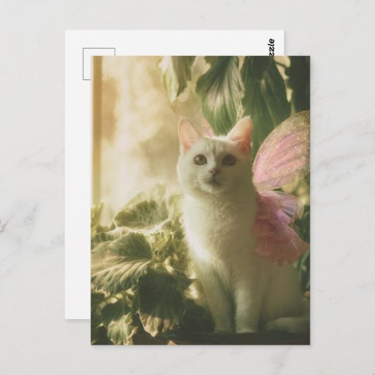 Carte Postale Superbe fée de chats blancs (Devant / Derrière)