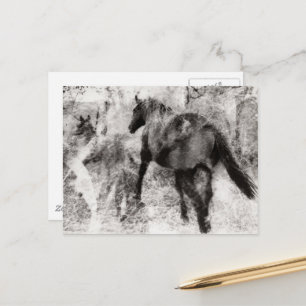 Carte Postale Superbe jument et poulain Paint Horse 