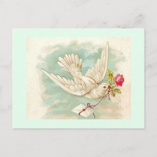 Carte Postale Superbe lettre de colombe victorienne vintage