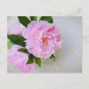 Carte Postale Superbe Peinture rose Peony