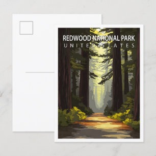Carte Postale Superbe Place Redwood National Park USA Travel