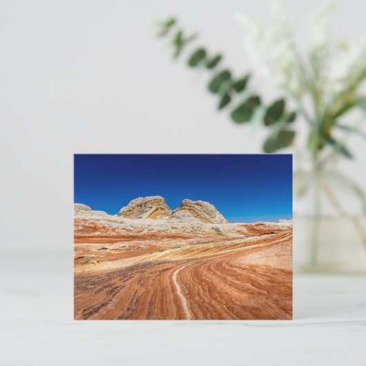 Carte Postale Superbe vue de poche blanche (Debout devant)