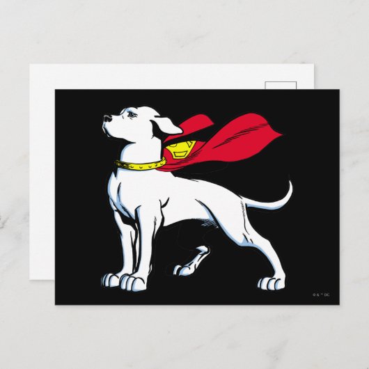 Carte Postale Superdog Krypto (Devant / Derrière)