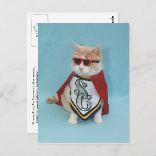 Carte Postale Superhero Bubba (Devant / Derrière)