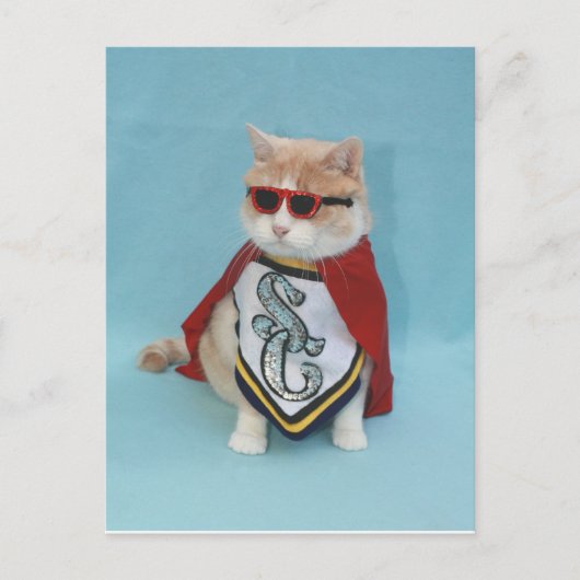 Carte Postale Superhero Bubba (Devant)