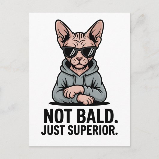 Carte Postale Superior Sphynx Cat Sarcastic Attitude Art (Devant)