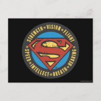 Superman Stylisé | Logo de vol Vision Force
