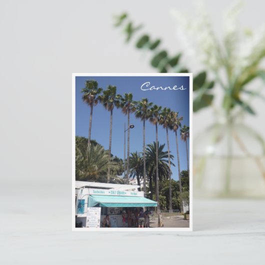 Carte Postale support de cannes (Debout devant)