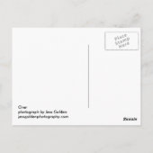 Carte Postale Sur (Dos)