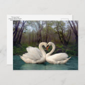 Carte Postale "Sur Faery Pond" (Devant / Derrière)