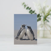 Carte postale sur la plage (Debout devant)