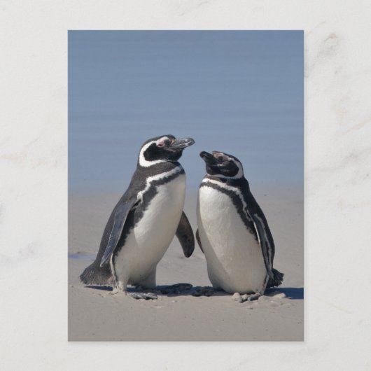 Carte postale sur la plage (Devant)
