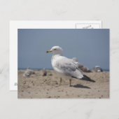 Carte Postale Sur la plage (Devant / Derrière)