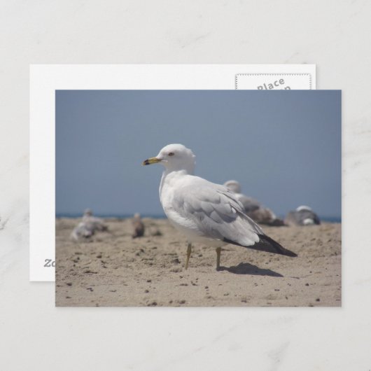 Carte Postale Sur la plage (Devant / Derrière)