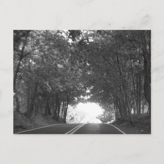 Carte Postale Sur la route à nouveau (Devant)