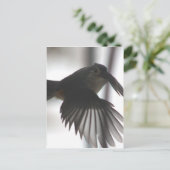 Carte Postale Sur l'aile (Debout devant)